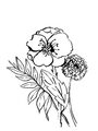 Image Not Available